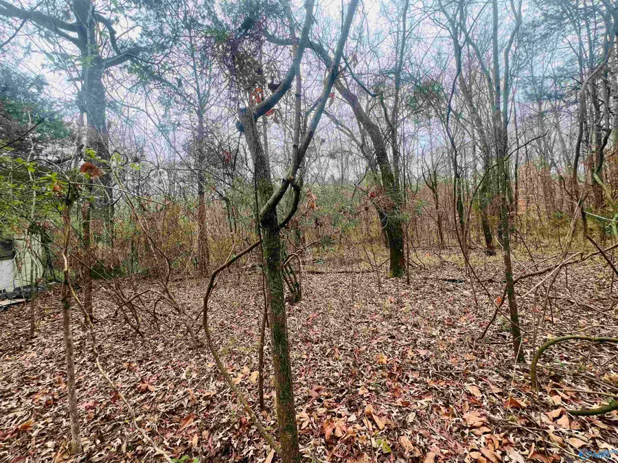 1 ACRE Whitman Circle Ne, Huntsville, AL 35811 - Image #3