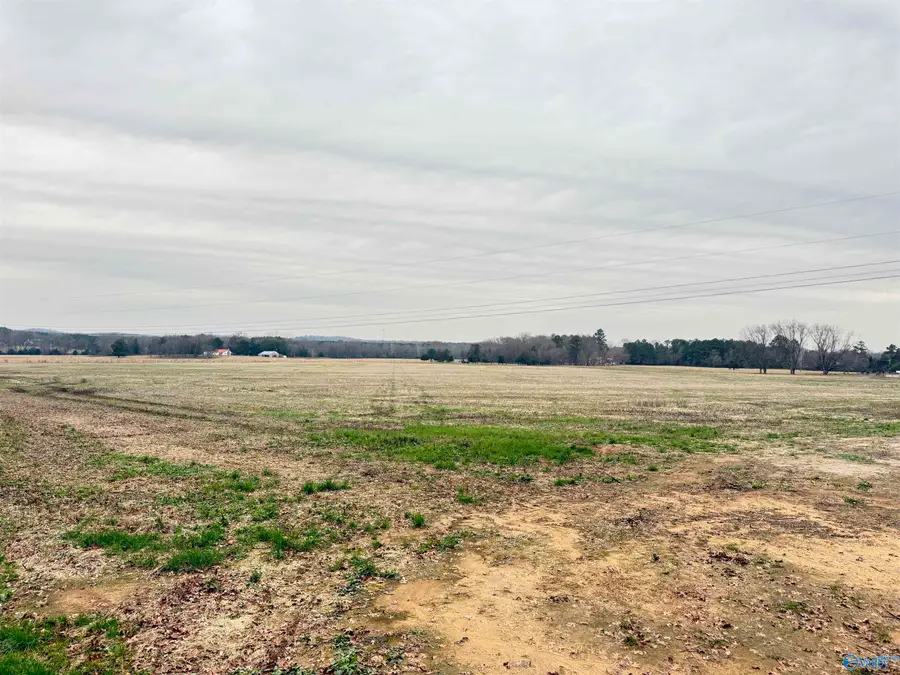 32 Acres Hogan Road, Falkville, AL 35622 - Image #2