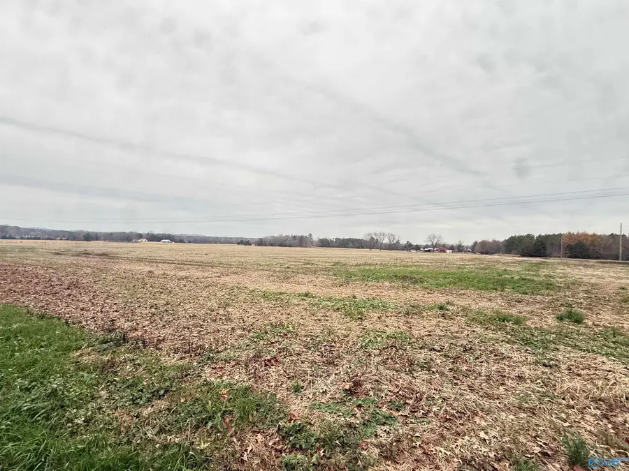 32 Acres Hogan Road, Falkville, AL 35622 - Image #3