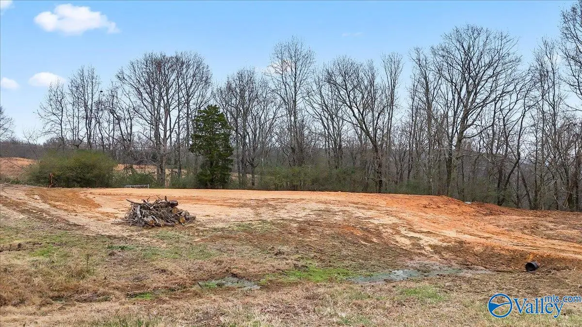 10356 County Road 17, Woodville, AL 35776 - Image #1