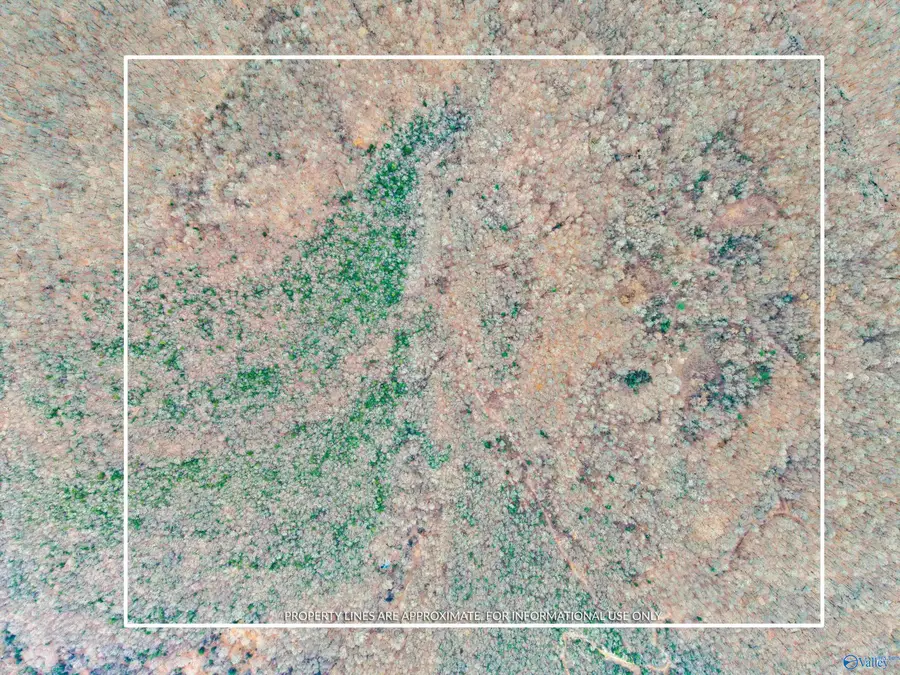 41 ac Kroff Road, Gurley, AL 35748 - Image #2