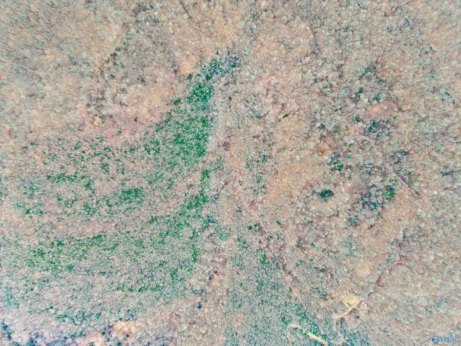 41 ac Kroff Road, Gurley, AL 35748 - Image #3