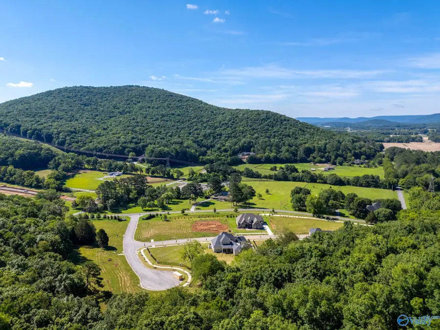 4602 Stone Mont Drive, Brownsboro, AL 35741 - Image #2