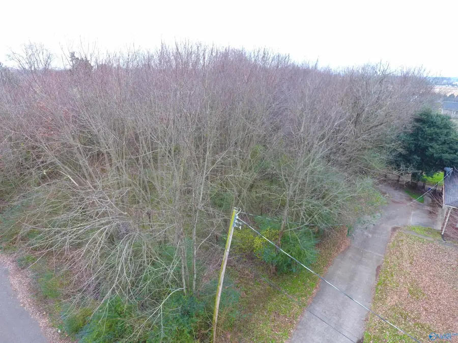 220 Jamie Lane, Toney, AL 35773 - Image #2