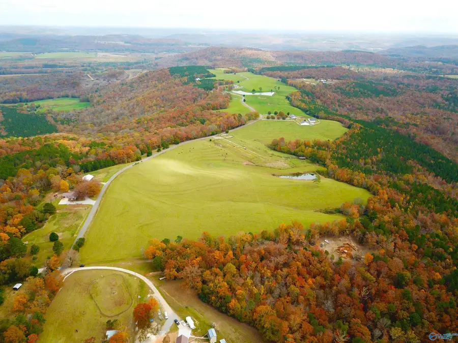 45.32 Acres Latham, Eva, AL 35621 - Image #2