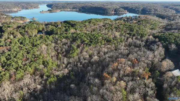 1275 -A County Road 871, Crane Hill, AL 35053