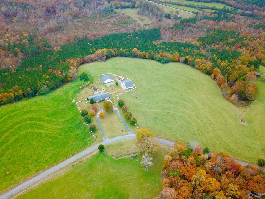 38.37 Acres Latham, Eva, AL 35621 - Image #3