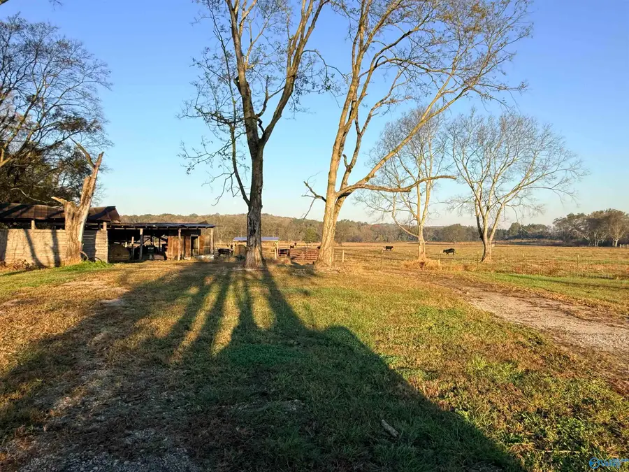 53 Acres County Road 41 W, Danville, AL 35619 - Image #2