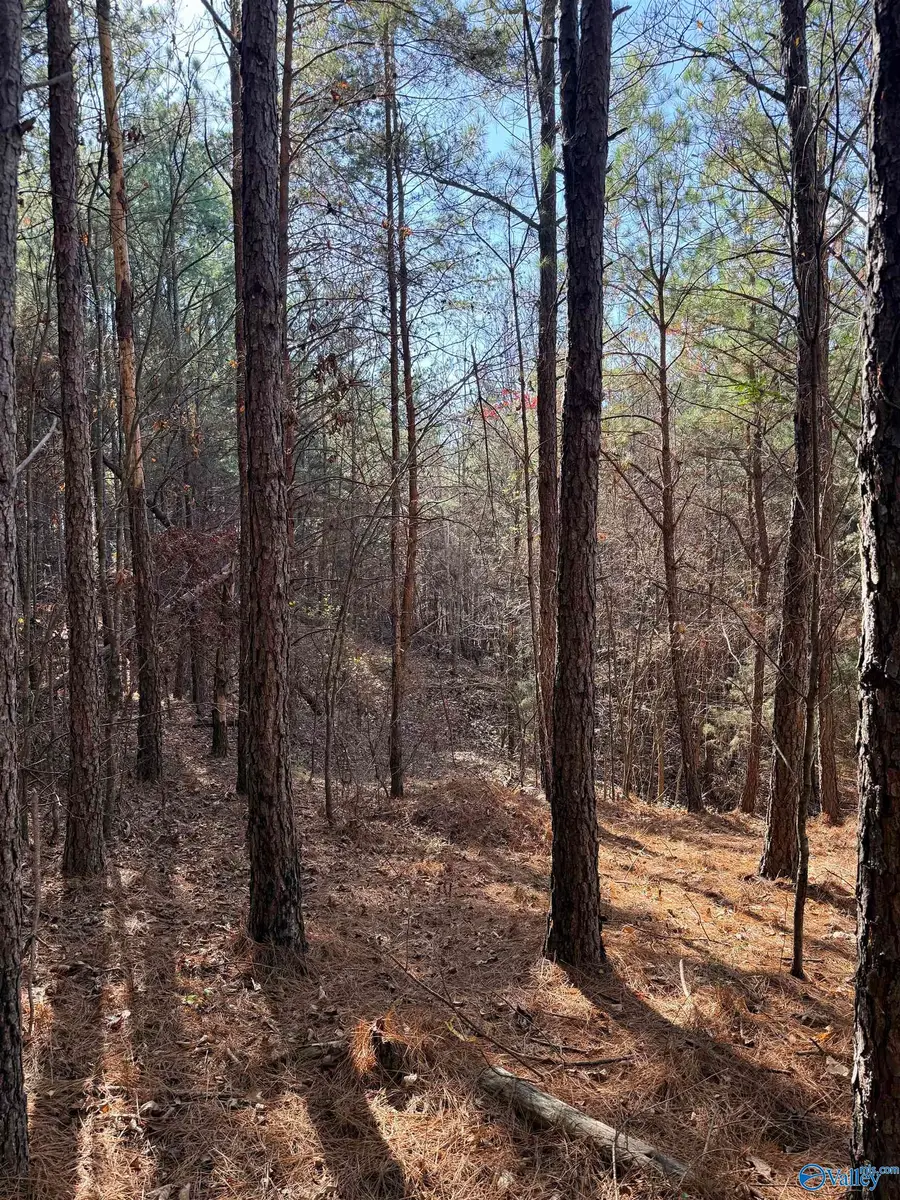 9400 Bradford Trafford Road, Warrior, AL 35180 - Image #3