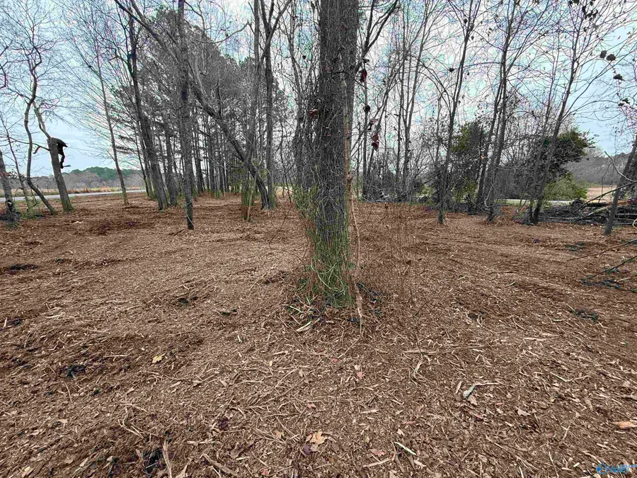 2.65 Acres +/- Lester Drive, Boaz, AL 35957 - Image #2