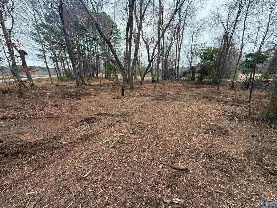2.65 Acres +/- Lester Drive, Boaz, AL 35957 - Image #3