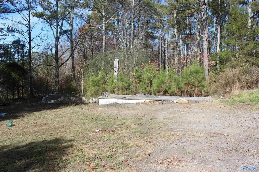 1.0 County Road 122, Fort Payne, AL 35968 - Image #2