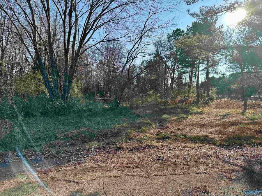 196 Teresa Drive, Madison, AL 35757 - Image #2