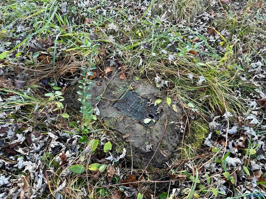 196 Teresa Drive, Madison, AL 35757 - Image #3