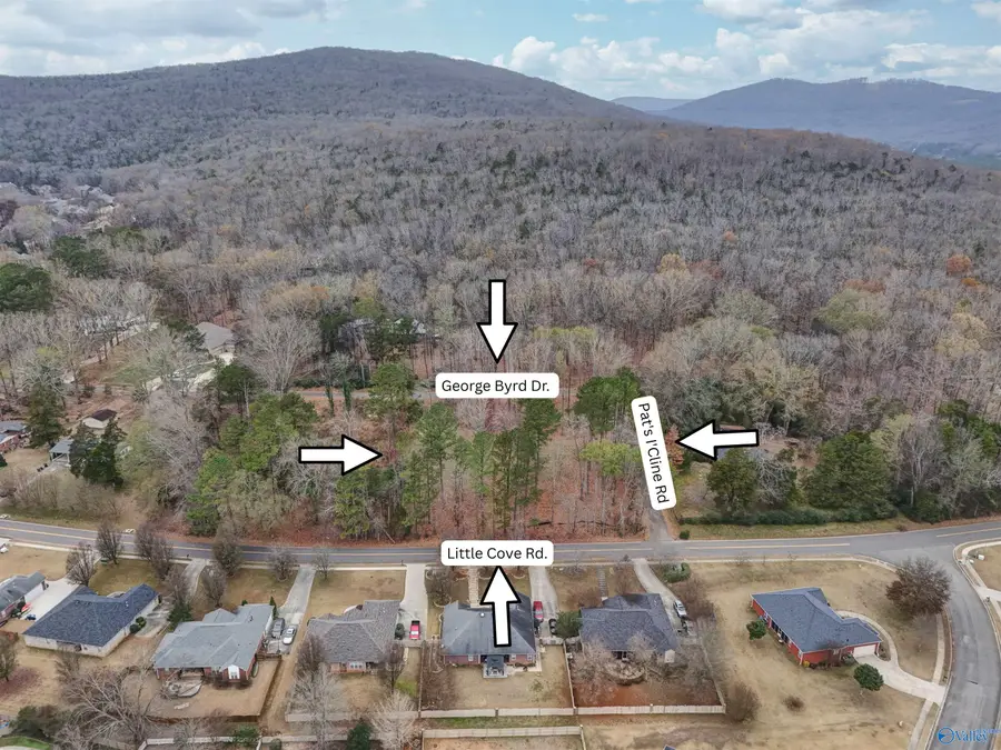 2571 Little Cove Road, Owens Cross Roads, AL 35763 - Image #2