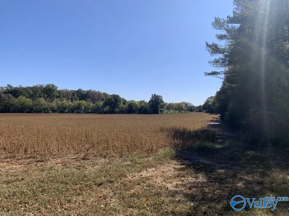 Lot 1.02 County Line Road, Madison, AL 35758 - Image #1