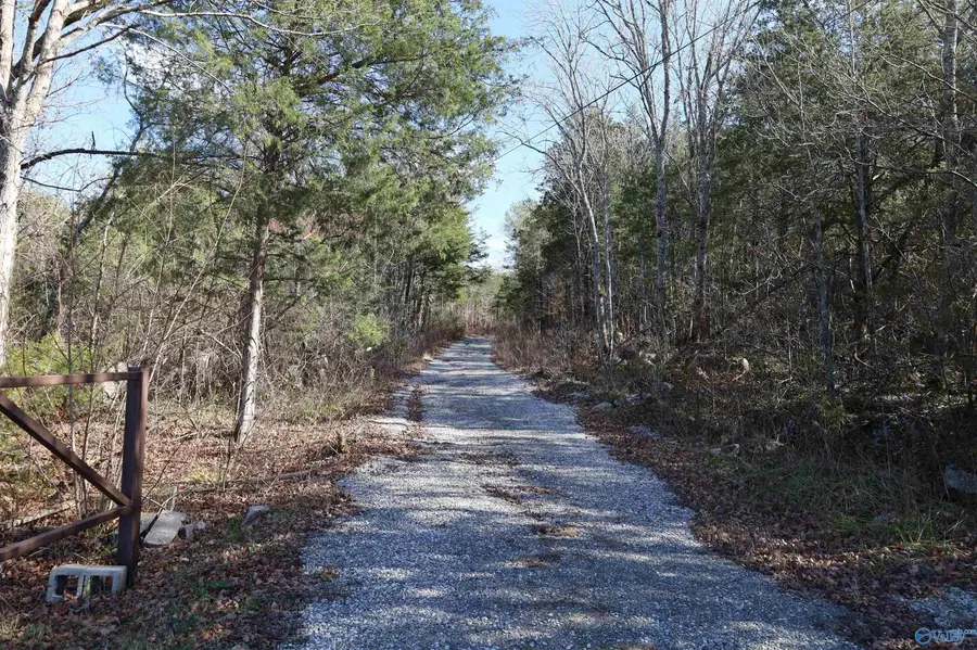 820 County Road 6, Woodville, AL 35776 - Image #3