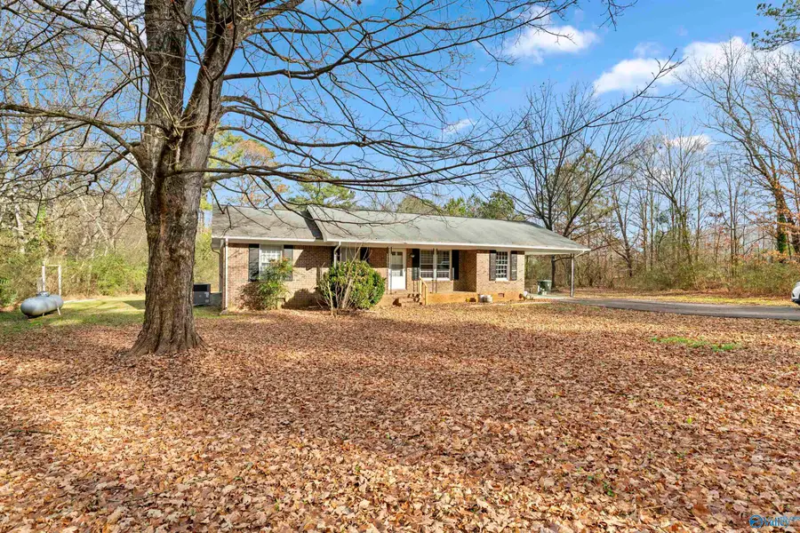 317 Baites Road, Toney, AL 35773 - Image #3