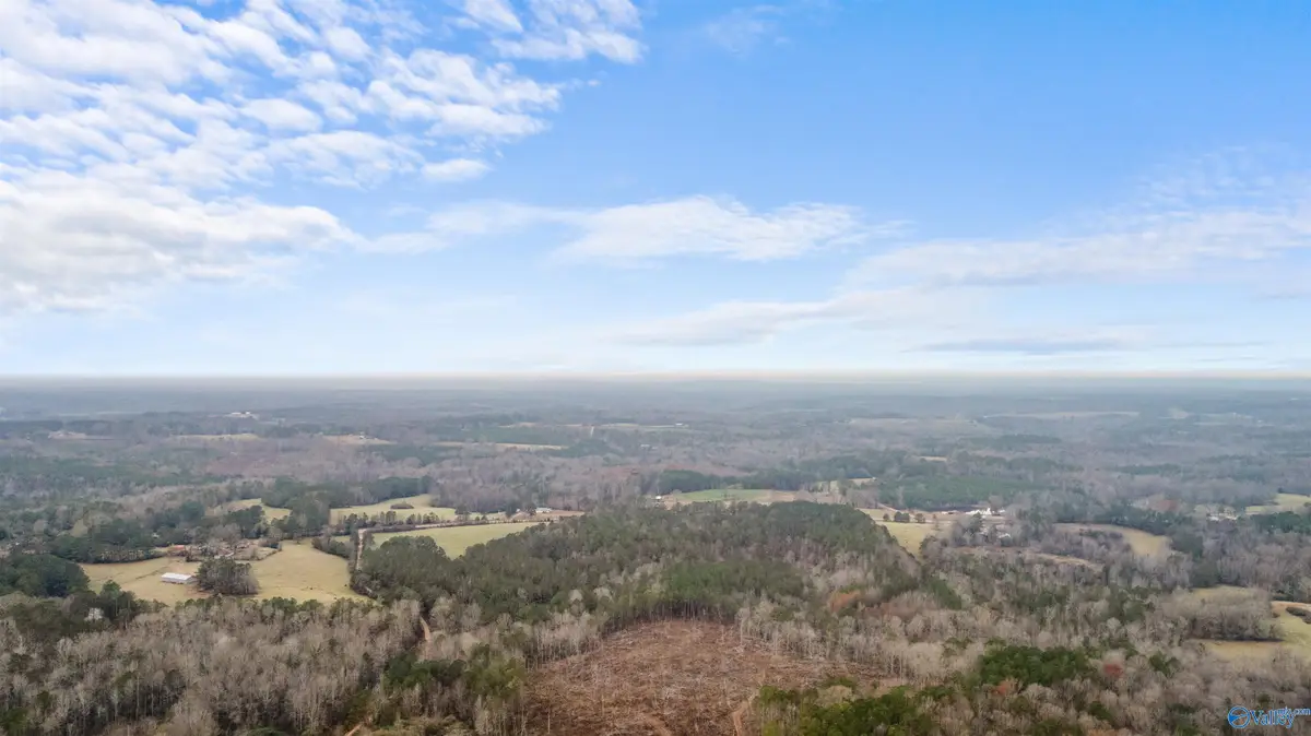 151.13 Acres County Road 673, Roanoke, AL 36278 - Image #1