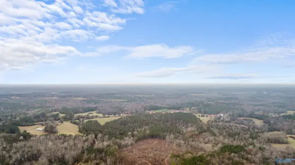 151.13 Acres County Road 673, Roanoke, AL 36278