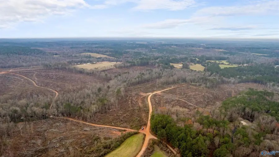 151.13 Acres County Road 673, Roanoke, AL 36278 - Image #2