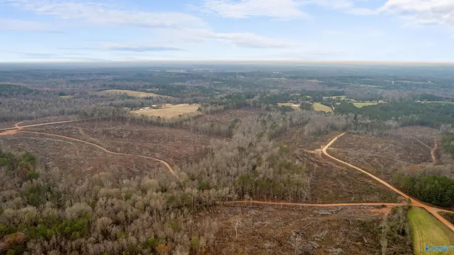 151.13 Acres County Road 673, Roanoke, AL 36278 - Image #3