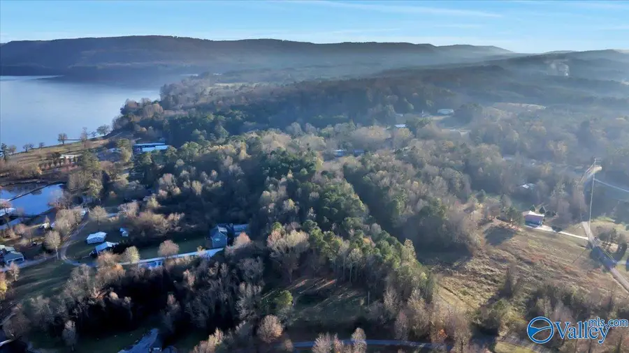 5.58 ac Rachel Drive, Langston, AL 35755 - Image #2