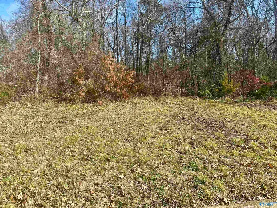 2812 Talon Circle Ne, Huntsville, AL 35811 - Image #2