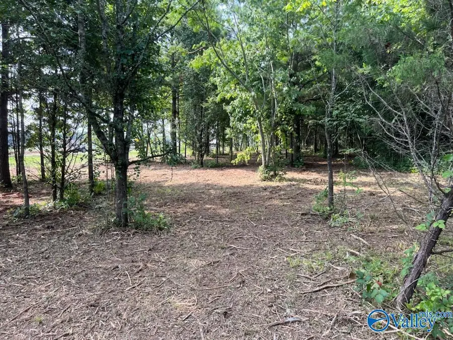 7.17 acres South Greenway Drive, Trinity, AL 35673 - Image #2