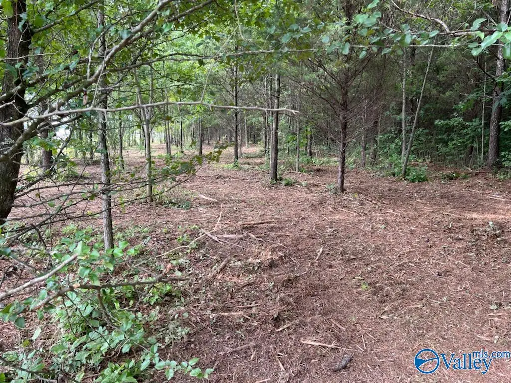 6.21 acres South Greenway Drive, Trinity, AL 35673 - Image #1