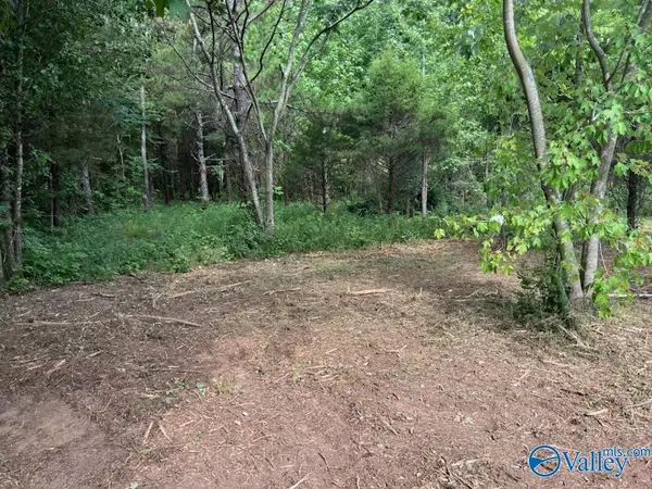 6.33 acres South Greenway Drive, Trinity, AL 35673