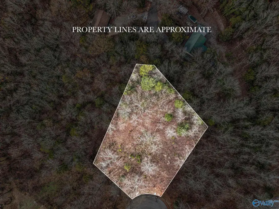 5/6 Kemper Circle, Guntersville, AL 35976 - Image #2