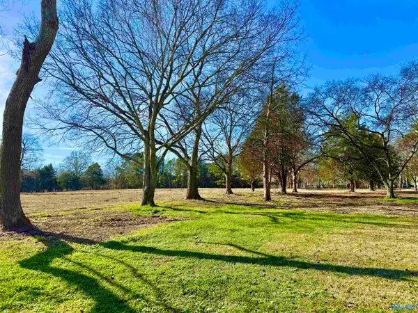 9.7 Acres Breeding Drive, Hartselle, AL 35640
