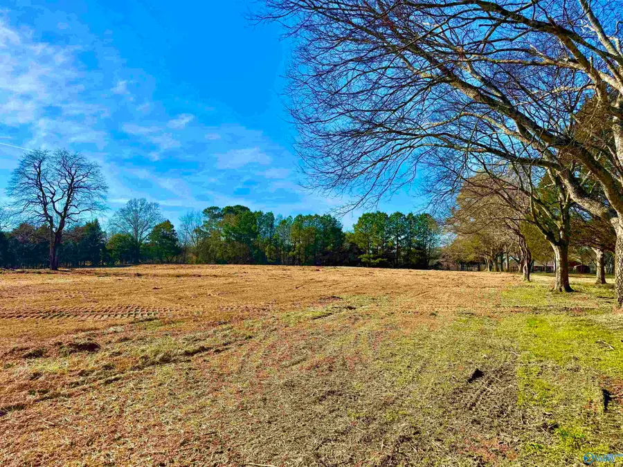 9.7 Acres Breeding Drive, Hartselle, AL 35640 - Image #2