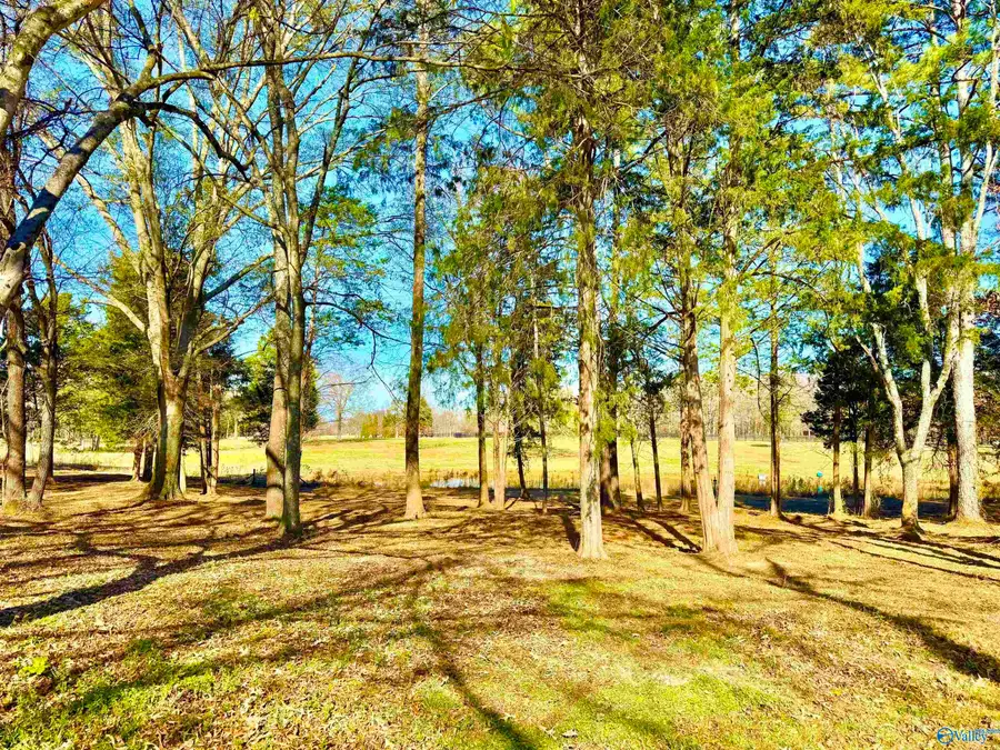 9.7 Acres Breeding Drive, Hartselle, AL 35640 - Image #3