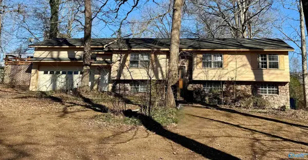 166 Third Avenue W, Grant, AL 35747