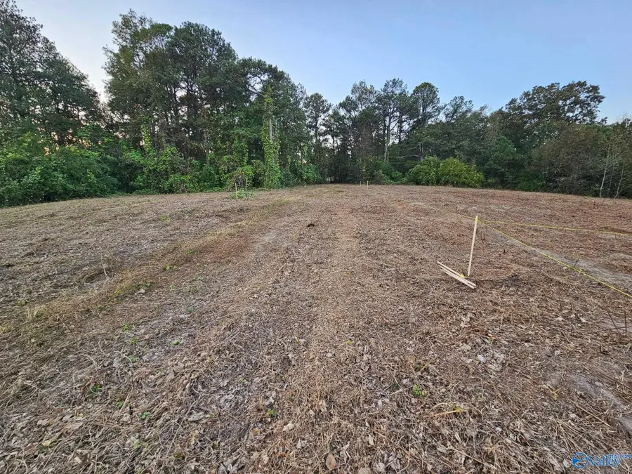 353 Cox Cove Road #11, Hayden, AL 35079 - Image #2