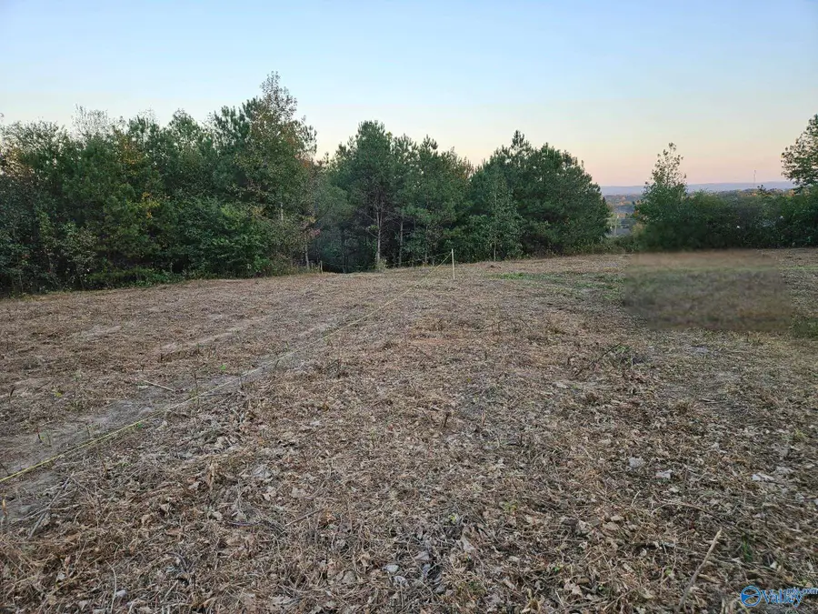 353 Cox Cove Road #11, Hayden, AL 35079 - Image #3