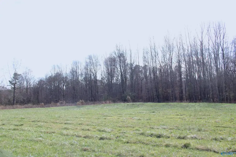 451 Johnson Road, Albertville, AL 35951 - Image #3