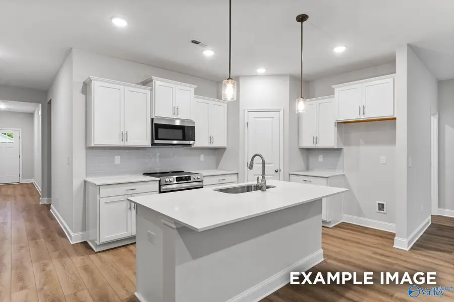 225 Jerrie Lynn Boulevard, Meridianville, AL 35759 - Image #3