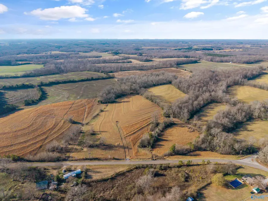 7525 Upper Snake Road, Athens, AL 35614 - Image #3