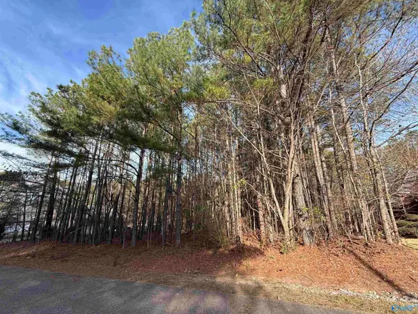 Lot 3 Sweetwater Lane, Rainbow City, AL 35906
