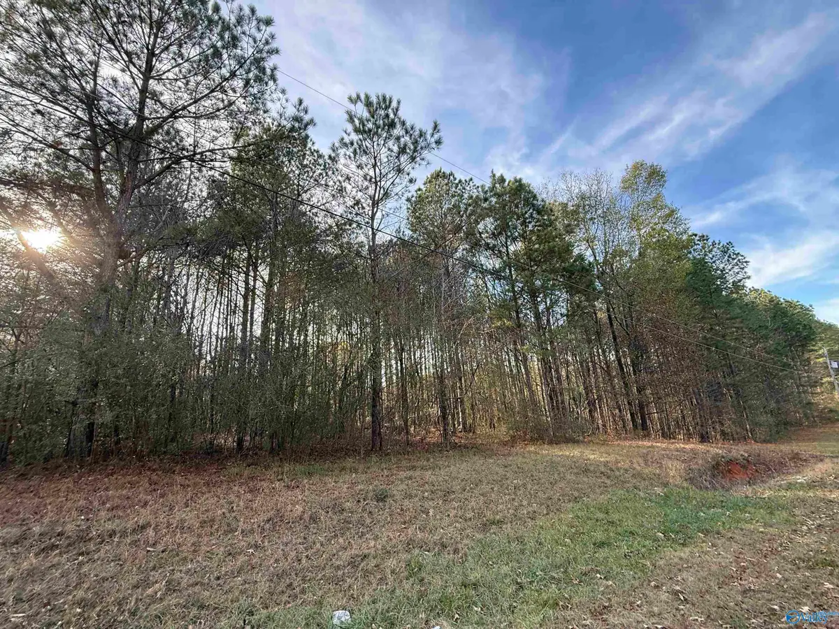 Lot 19 Sweetwater Lane, Rainbow City, AL 35906 - Image #1
