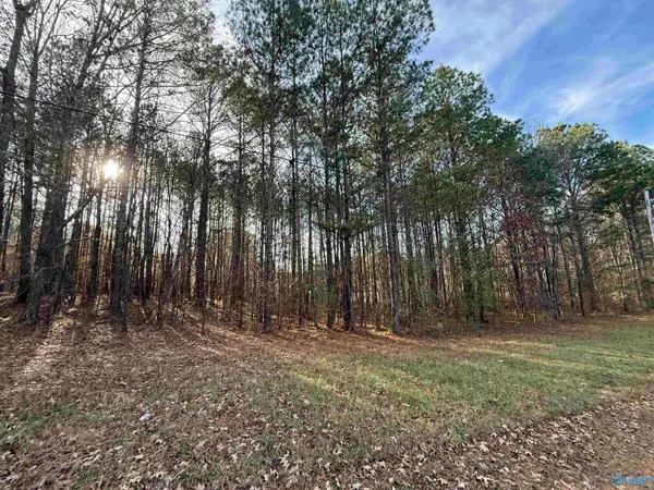 Lot 20 Sweetwater Lane, Rainbow City, AL 35906