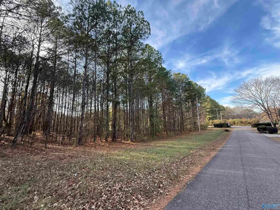 Lot 20 Sweetwater Lane, Rainbow City, AL 35906 - Image #3