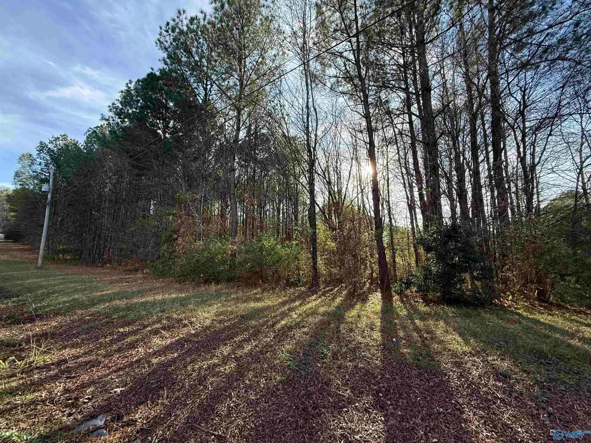 Lot 21 Sweetwater Lane, Rainbow City, AL 35906 - Image #1