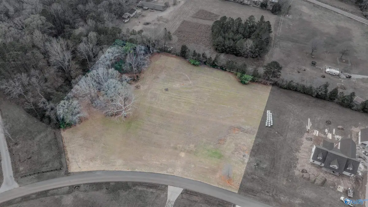 730 Davis Road, Rogersville, AL 35652 - Image #1