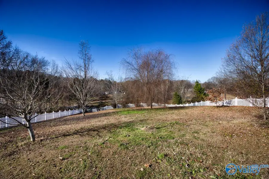 411 N Seneca Drive, Trinity, AL 35673 - Image #2