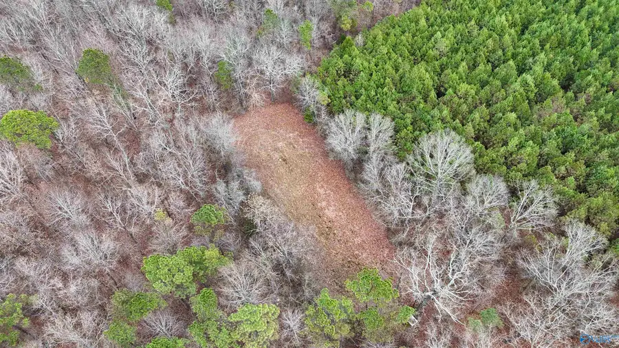 2.3 Acres County Highway 29, Hamilton, AL 35570 - Image #2