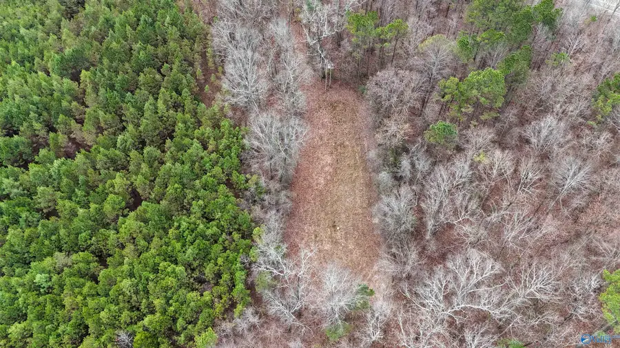 2.3 Acres County Highway 29, Hamilton, AL 35570 - Image #3